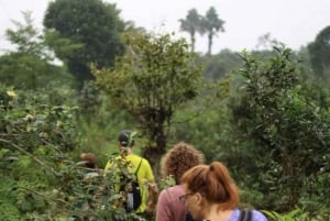 Ha noi: Grupo Cao Bang Loop - Recorrido en coche : 4 días 3 noches