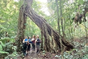 Von Hanoi: 2-tägige Tour zur Insel Cat Ba mit Trekking