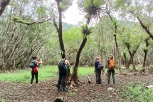 Von Hanoi: 2-tägige Tour zur Insel Cat Ba mit Trekking