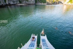 Hanoi/ Cat Ba: Isola di Cat Ba e baia di Lan Ha - Escursione di un giorno | Lusso