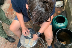 Hanoi Craft Village: Conical Hats, Incense, and Train Street