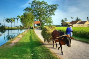 Da Hanoi: Tour privato del villaggio di Duong Lam di mezza giornata