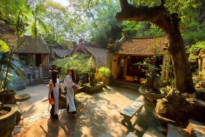 Da Hanoi: Tour privato del villaggio di Duong Lam di mezza giornata