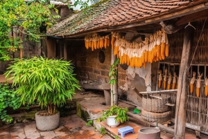 Da Hanoi: Tour privato del villaggio di Duong Lam di mezza giornata