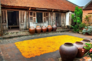Da Hanoi: Tour privato del villaggio di Duong Lam di mezza giornata