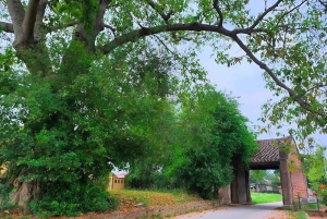 Da Hanoi: Tour privato del villaggio di Duong Lam di mezza giornata