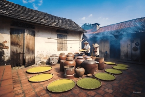 Da Hanoi: Tour privato del villaggio di Duong Lam di mezza giornata