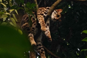 Au départ de Hanoi, explorez la nature, observez les animaux sauvages et les lucioles.