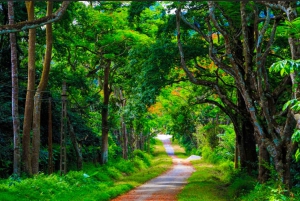 Au départ de Hanoi, explorez la nature, observez les animaux sauvages et les lucioles.