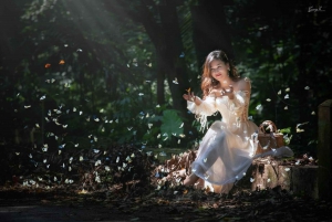 Au départ de Hanoi, explorez la nature, observez les animaux sauvages et les lucioles.