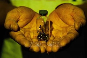 Au départ de Hanoi, explorez la nature, observez les animaux sauvages et les lucioles.