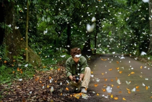 Au départ de Hanoi, explorez la nature, observez les animaux sauvages et les lucioles.