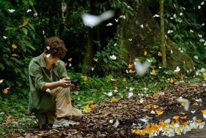 Au départ de Hanoi, explorez la nature, observez les animaux sauvages et les lucioles.