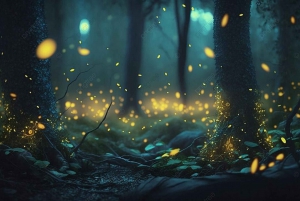 Au départ de Hanoi, explorez la nature, observez les animaux sauvages et les lucioles.