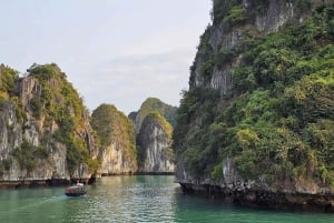 Fra Hanoi: Utforsk Ha Long Bay i 2 dager med et luksuscruise