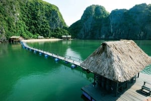 Dia inteiro em Ha Long com carro limusina e cruzeiro de luxo