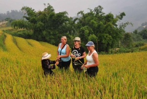From Hanoi: Explore Sapa 2-Day Tour