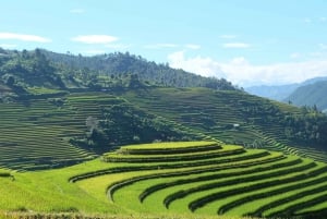 From Hanoi: Explore Sapa 2-Day Tour