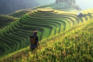 From Hanoi: Explore Sapa 2-Day Tour