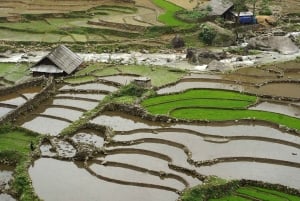 Da Hanoi: Tour di 2 giorni alla scoperta di Sapa