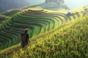 Da Hanoi: Tour di 2 giorni alla scoperta di Sapa