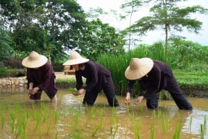 Vanuit Hanoi: dagvullende authentieke Vietnamese boerderijtour