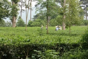 Vanuit Hanoi: dagvullende authentieke Vietnamese boerderijtour