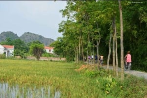 From Hanoi: Full-Day Ninh Binh Highlights Small Group Tour