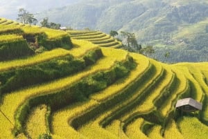 From Hanoi: Ha Giang Guided 3-Day Trip