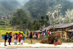 From Hanoi: Ha Giang Guided 3-Day Trip