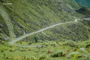 From Hanoi: Ha Giang Guided 3-Day Trip