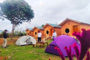 ハノイ発：イージーライダーで行くハザンループ3泊3日