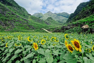 From Hanoi : Ha Giang Loop 3D2N Hong Hao