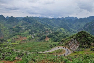 From Hanoi : Ha Giang Loop 3D2N Hong Hao