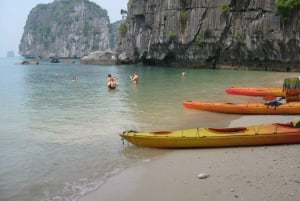Von Hanoi: Ha Long – Bai Tu Long-Bucht 2-tägige Kreuzfahrt mit 1 Übernachtung