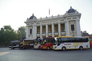 Из Ханоя: Роскошный круиз по заливу Ха Лонг Бэй с большой и маленькой группой