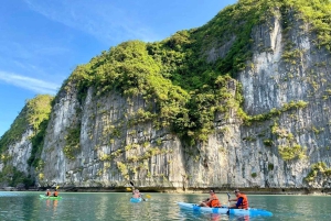Fra Hanoi: Ha Long-bukten 1-dagers tur med luksuscruise