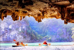 Fra Hanoi: Ha Long-bukten 1-dagers tur med luksuscruise