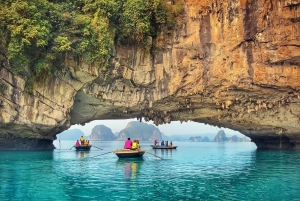 Fra Hanoi: Ha Long-bukten 1-dagers tur med luksuscruise