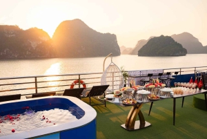 Fra Hanoi: Ha Long-bukten 1-dagers tur med luksuscruise