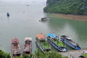 De Hanói: excursão de um dia à Baía de Ha Long com a gruta de Thien Cung e caiaque