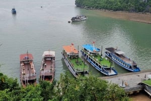 Hanoista: Ha Long Bayn yksityinen VIP-tilausristeily | Joustava