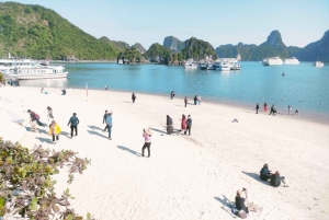 Desde Hanoi: Crucero de lujo de un día por la bahía de Ha Long con comida y kayak