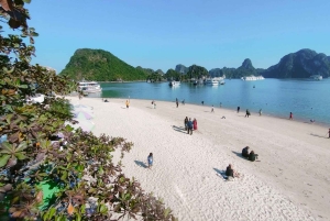 Desde Hanoi: Crucero de lujo de un día por la bahía de Ha Long con comida y kayak