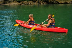 Desde Hanoi: Crucero de lujo de un día por la bahía de Ha Long con comida y kayak