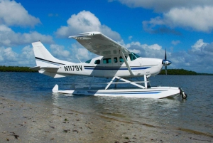 Vanuit Hanoi: schilderachtige watervliegtuigvlucht of transfer Ha Long-baai