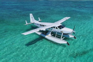 Vanuit Hanoi: schilderachtige watervliegtuigvlucht of transfer Ha Long-baai