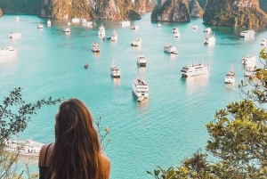 Vanuit Hanoi: schilderachtige watervliegtuigvlucht of transfer Ha Long-baai