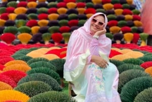 Hanoista: Puolipäiväinen retki suitsukkeisiin ja hattukyliin