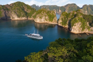 From Hanoi or Halong: Halong Bay Day Cruise